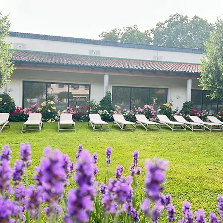 Hotel Kurzentrum Ludwigstorff Gmbh